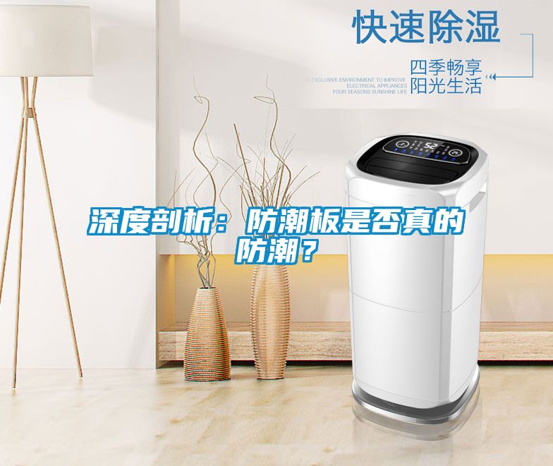深度剖析：防潮板是否真的防潮？