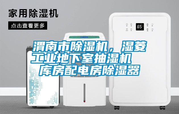 渭南市除濕機，濕菱工業(yè)地下室抽濕機  庫房配電房除濕器