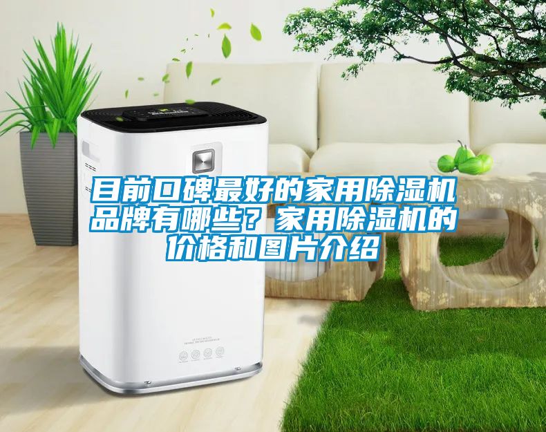 目前口碑最好的家用除濕機(jī)品牌有哪些？家用除濕機(jī)的價(jià)格和圖片介紹