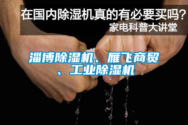 淄博除濕機、雁飛商貿(mào)、工業(yè)除濕機