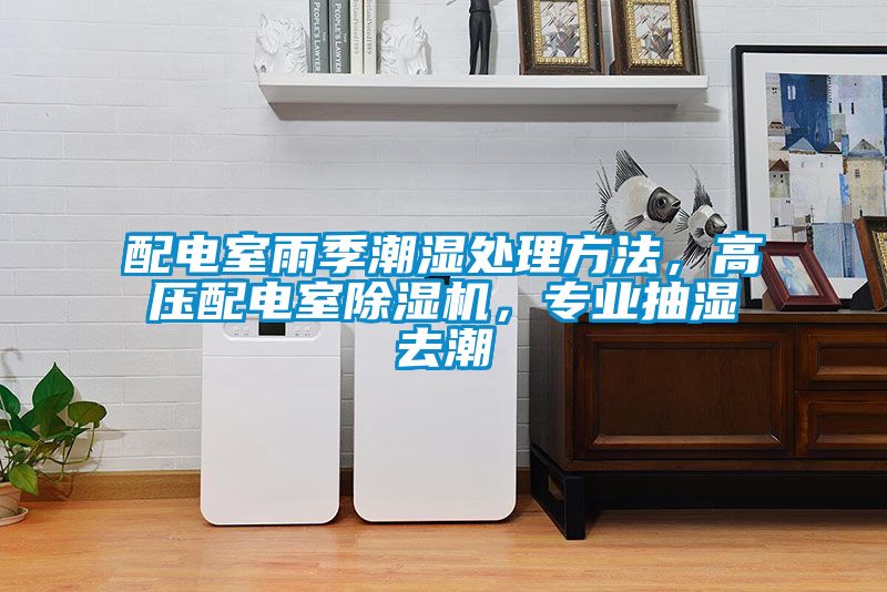 配電室雨季潮濕處理方法，高壓配電室除濕機，專業(yè)抽濕去潮