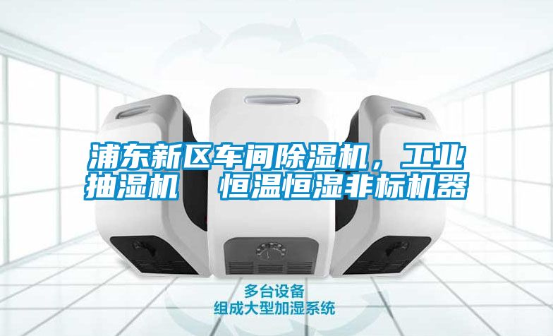 浦東新區(qū)車間除濕機(jī)，工業(yè)抽濕機(jī)  恒溫恒濕非標(biāo)機(jī)器