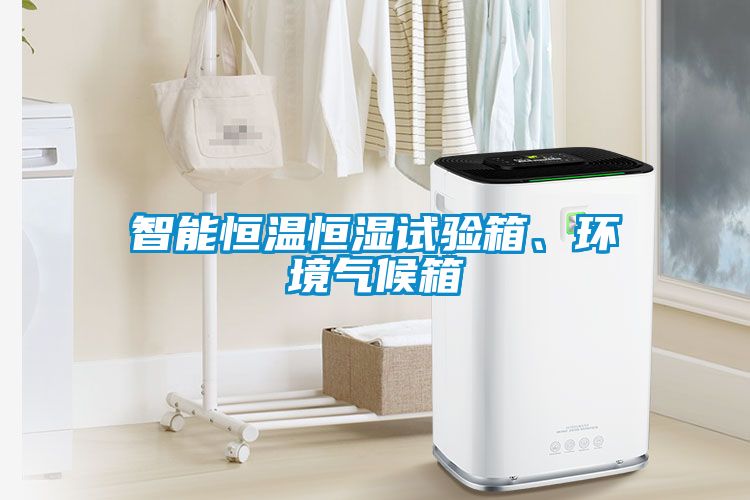 智能恒溫恒濕試驗(yàn)箱、環(huán)境氣候箱