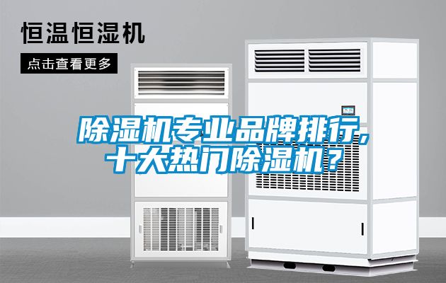 除濕機(jī)專業(yè)品牌排行,十大熱門除濕機(jī)？