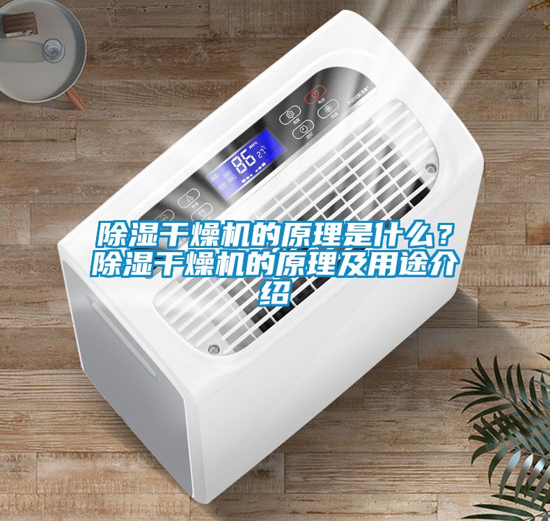 除濕干燥機(jī)的原理是什么？除濕干燥機(jī)的原理及用途介紹