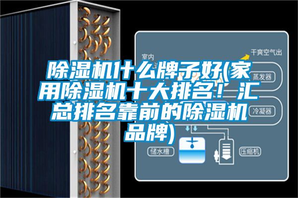 除濕機(jī)什么牌子好(家用除濕機(jī)十大排名！匯總排名靠前的除濕機(jī)品牌)