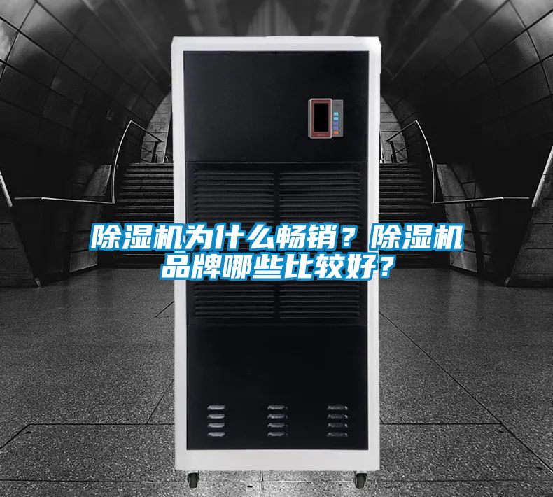 除濕機為什么暢銷？除濕機品牌哪些比較好？