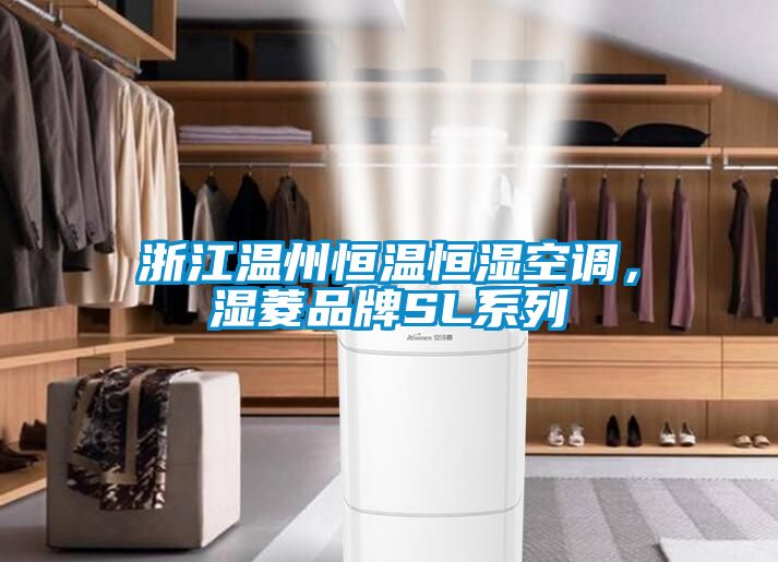 浙江溫州恒溫恒濕空調(diào)，濕菱品牌SL系列