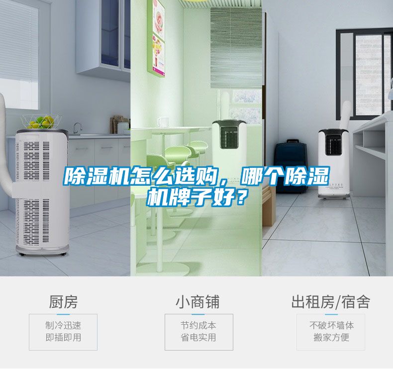除濕機怎么選購，哪個除濕機牌子好？
