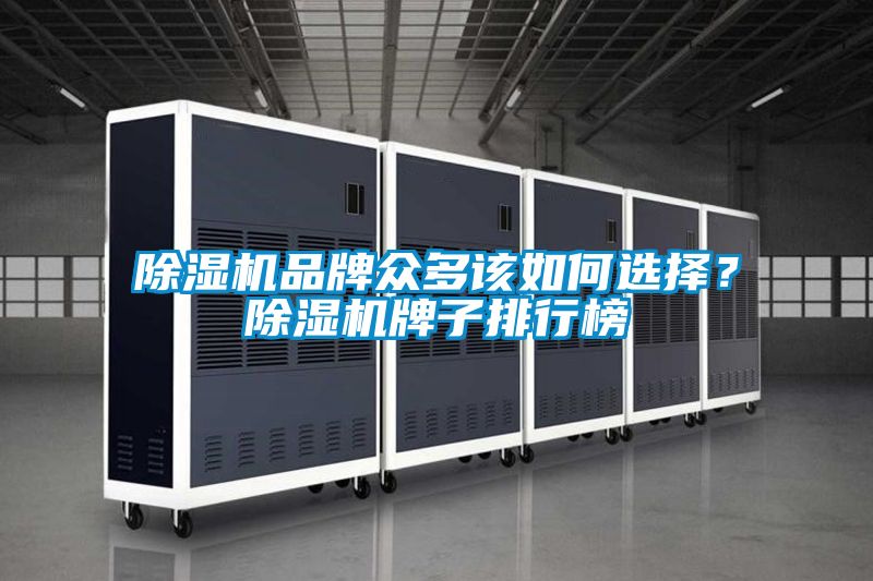 除濕機(jī)品牌眾多該如何選擇？除濕機(jī)牌子排行榜