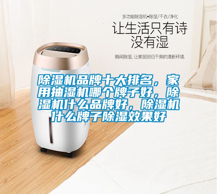 除濕機(jī)品牌十大排名，家用抽濕機(jī)哪個(gè)牌子好，除濕機(jī)什么品牌好，除濕機(jī)什么牌子除濕效果好