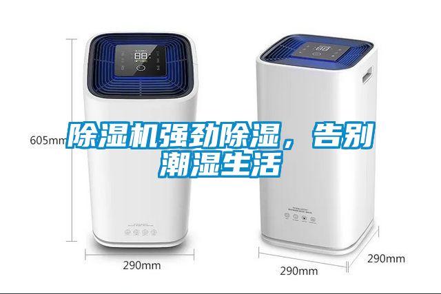 除濕機強勁除濕，告別潮濕生活