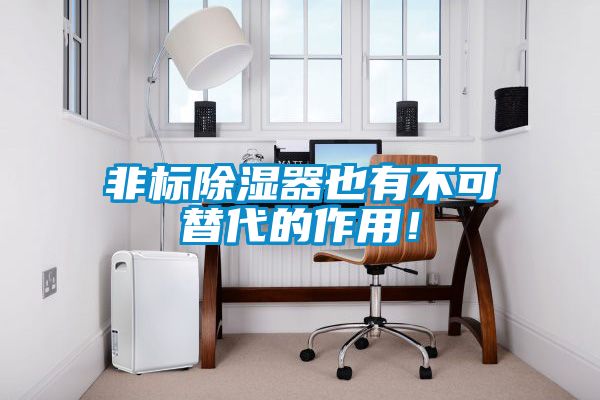 非標(biāo)除濕器也有不可替代的作用!
