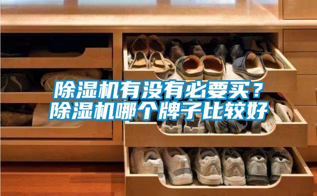 除濕機(jī)有沒有必要買？除濕機(jī)哪個(gè)牌子比較好