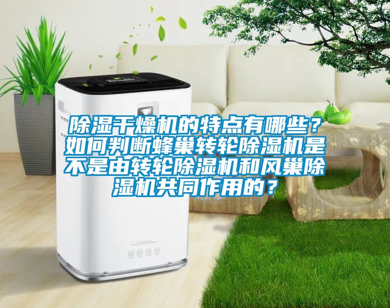 除濕干燥機(jī)的特點(diǎn)有哪些？如何判斷蜂巢轉(zhuǎn)輪除濕機(jī)是不是由轉(zhuǎn)輪除濕機(jī)和風(fēng)巢除濕機(jī)共同作用的？