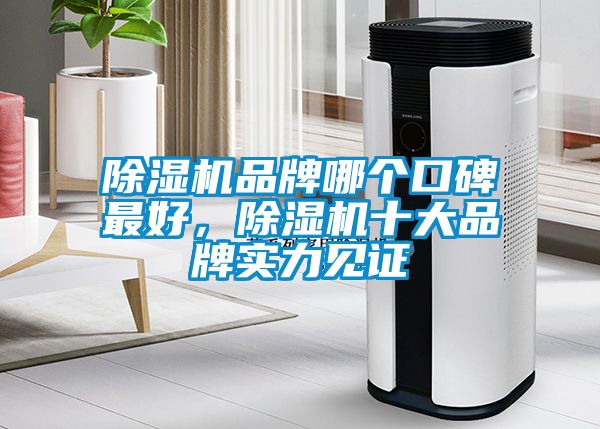 除濕機(jī)品牌哪個(gè)口碑最好，除濕機(jī)十大品牌實(shí)力見證