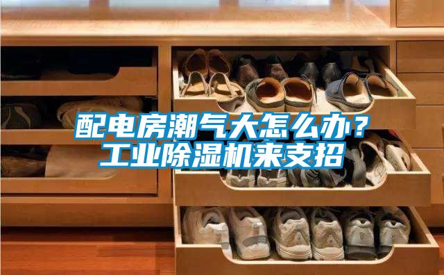 配電房潮氣大怎么辦？工業(yè)除濕機來支招