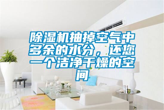 除濕機(jī)抽掉空氣中多余的水分，還您一個(gè)潔凈干燥的空間