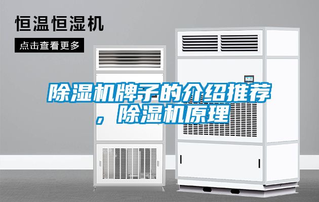 除濕機牌子的介紹推薦，除濕機原理