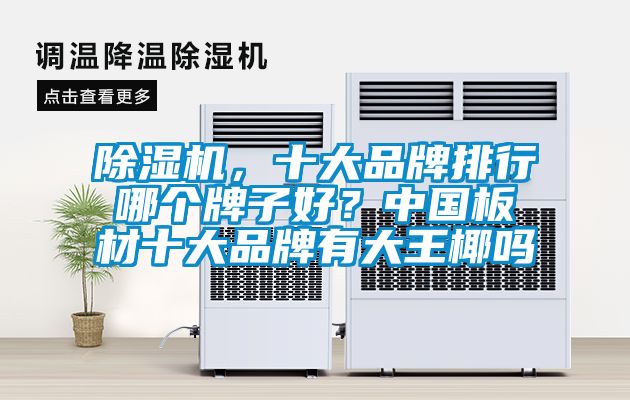 除濕機(jī)，十大品牌排行哪個(gè)牌子好？中國(guó)板材十大品牌有大王椰嗎
