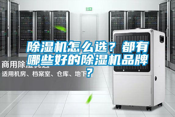 除濕機怎么選？都有哪些好的除濕機品牌？