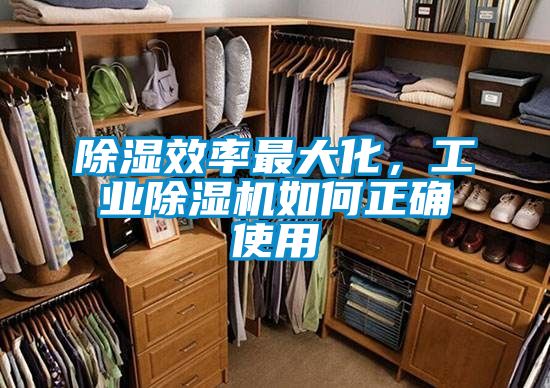 除濕效率最大化，工業(yè)除濕機如何正確使用