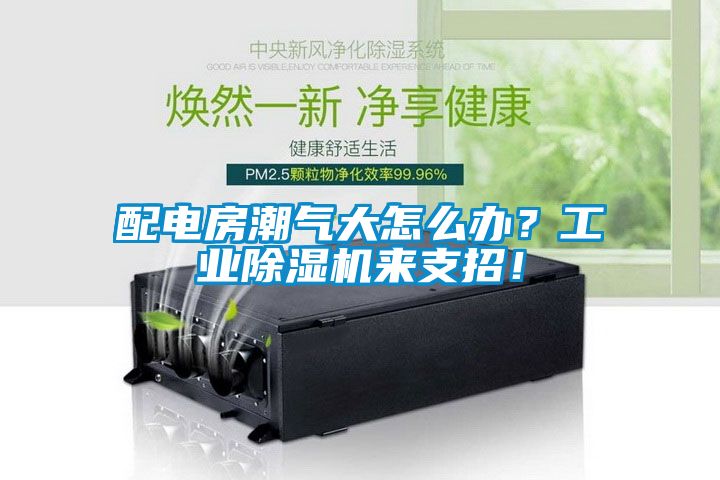 配電房潮氣大怎么辦？工業(yè)除濕機來支招！