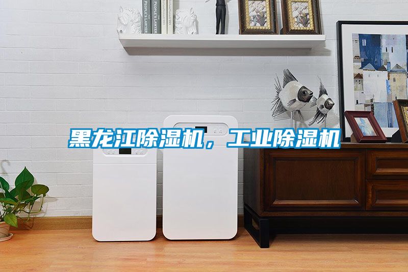 黑龍江除濕機(jī)，工業(yè)除濕機(jī)