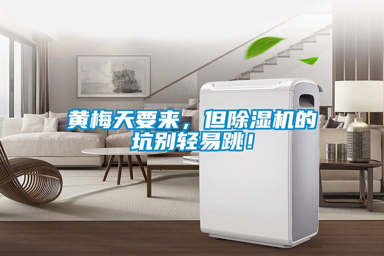 黃梅天要來，但除濕機的坑別輕易跳！